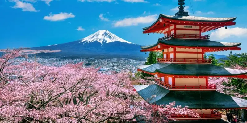 Sakura, Sushi, and Sumo: A Cultural Journey Through the Beauty of Japan